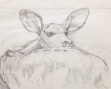 I lived each afternoon for 2 weeks inside the Zoo nursery with the 2 brand newborns. No perfume, no jewelry, no stripped clothing, so the youngsters accepted me.