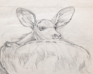 I lived each afternoon for 2 weeks inside the Zoo nursery with the 2 brand newborns. No perfume, no jewelry, no stripped clothing, so the youngsters accepted me.