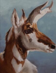 Byron was my favorite animal at the Denver Zoo. He almost broke both my legs as I worked inside his enclosure. On my next visit I went to the Zoo Hospital to see him before he died. He displayed for me. He remembered. Small details of this sketch told me I needed to progress into painting.